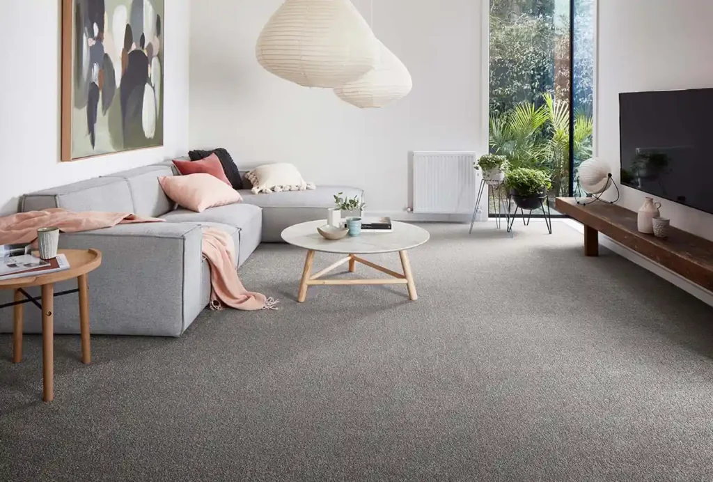 Living room wall to wall carpet